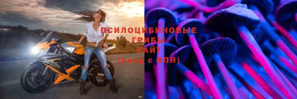 марки lsd Горно-Алтайск